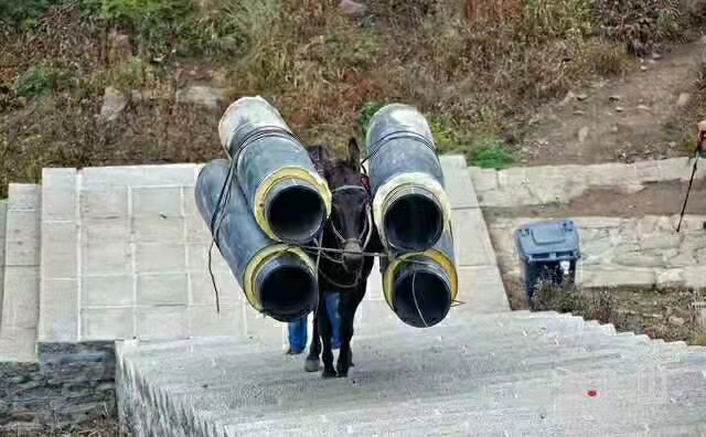 福建馬幫運輸